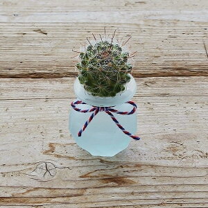  kT{e T{eNQ XKX o oKX T{e