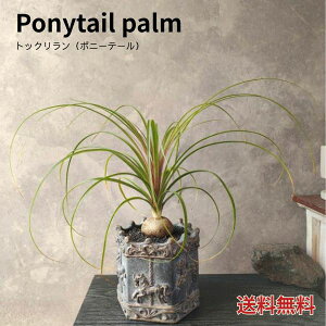 ygbNzϗtA |j[e[ LO ̓ ̓ a Mtg@MtgA A