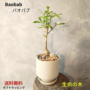 yoIouzq^ ̖ ̉ql Ă₷ ϗtA LO ̓ ̓ a Mtg MtgA