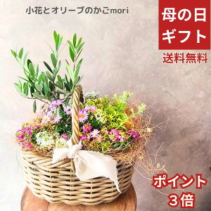 �y ���ԂƃI���[�u�@��̓��M�t�g �z��̓��@�ԁ@�񂹐A���@���������@���A���@�s���N�n�@�ԁ@��������@�|�C���g3�{�@�l�C�@�i��@��̓��M�t�g�@���蕨�A���@���蕨�@�M�t�g�@�A���@