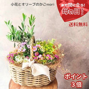 �y��̓��M�t�g �|�C���g3�{5/5�܂Łz���ԂƃI���[�u�̂����X ��̓� �� �񂹐A�� �������� ���A�� �s���N�n �ԁ@�������� �|�C���g3�{ �l�C �i�� ��̓��M�t�g ���蕨�A�� ���蕨 �M�t�g �A