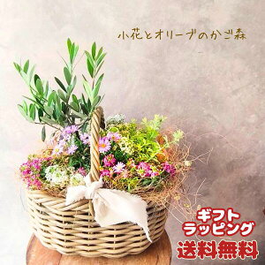 ���ԂƃI���[�u�̂����X ��̓� �� �񂹐A�� �������� ���A�� �s���N�n �ԁ@�������� �l�C �i�� ��̓��M�t�g ���蕨�A�� ���蕨 �M�t�g �A�� �v���[���g ��