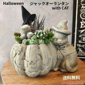 yWbNI[^with CAT zT{e 񂹐A 񂹐A nEB WbNI[^ L nEB񂹐A G߂̏ ̖Xq V[Y CeA nE