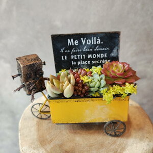 y oXƎqu^̂U z@񂹐A@Mtg@A@A@IV@킢@v[g