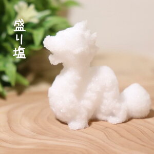 y艖Zbgz  艖^{ԎM2{`p_2̃Zbg MeK 艖A[g me-015  J^  Պw  ^ ^ ɐ  ]A JXj CeA