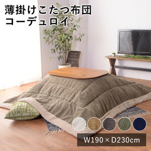 yP3{`11/24 23:59z|zc R[fC ` 190×230cm zc xzc R^czc zc  lJCC k JWA V hV̓