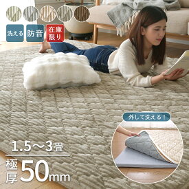 【仕様変更のため在庫限り】極厚50mm 洗える カバータイプラグ シエロ 防音 ラグ ラグマット カバー 極厚 カーペット 130×185 185×185 185×240 厚手 キルトラグ ふかふか 北欧 滑り止め 床暖房 ER-007