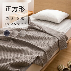 正方形 毛布 タオルケット 通販 価格比較 価格 Com