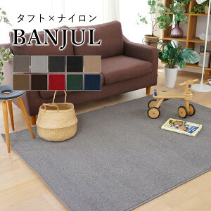 【LINE登録で300円クーポン】ラグ ラグマット カーペット 絨毯 長方形 200×250cm 3畳 ホットカーペットカバー 床暖房 オールシーズン 低ホルムアルデヒド 防汚 防炎 撥水 静電気防止 家族 子供