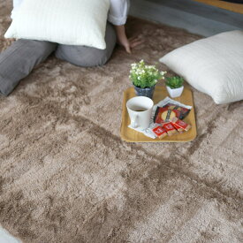 【LINE登録で300円クーポン】【オーダーカットOK】スミノエ ラックスファー 正方形 約200×200cm 約2畳相当 カーペット 絨毯 ホットカーペット 床暖房 オールシーズン 防ダニ アレルブロック 防炎 消臭 日本製 BIG SIZE RUG