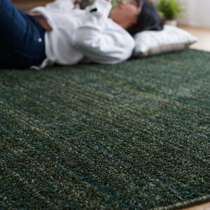 yP3{`9/25 23:59zX~mG Xg ~` ȉ~ 140×200cm J[ybg O~ zbgJ[ybg g[ I[V[Y h_j AubN { BIG SIZE RUG