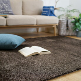 【LINE登録で300円クーポン】【オーダーカットOK】スミノエ ネオグラス 長方形 約140×200cm 約1.5畳相当 カーペット 絨毯 ホットカーペット 床暖房 オールシーズン 防ダニ アレルブロック 防炎 日本製 BIG SIZE RUG