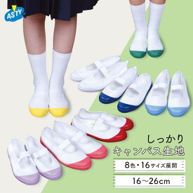 【最大20%OFF！ 期間中ずっとP14倍以上！ SS】 上履き 上靴 うわばき 布製 キャンバス地 子供 小学生 パープル 紫 赤 青 ピンク 水色 白 赤 黄色 女の子 男の子 幼稚園 保育園 小学校 うわぐつ ベーシック