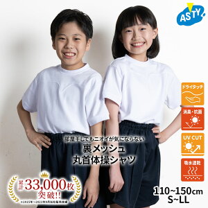 yő15%OFFI őP14{I SSz ̑ ̑  XN[EFA N[lbN@ێ j  p ^ z 􂢑ւ  x[VbN  Vw 110 120 130 140 150 S M L LL  