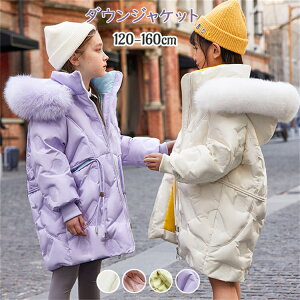 _EWPbg i q LbY _E R[g ̎q j̎q t[ht ̎q O p[J[ R[g h AE^[ _ER[g  ʉ ʊw o H~ hWP