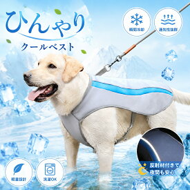 犬用 クールベスト 熱中症対策 ひんやり ベスト 夏服 クール 瞬間 冷却 犬 夏バテ 暑さ対策 散歩 お出かけ 屋外 犬服 ペットウェア クールウェア おしゃれ かわいい カッティング パイピング 葉っぱ模様 反射材 夜間 安心 安全 洗濯可能 ペット用品 ペットグッズ