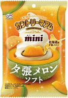 カントリーマアム (夕張メロンソフト) 42g×10袋