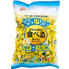 松屋製菓 食べる塩レモンキャンディ 700g
