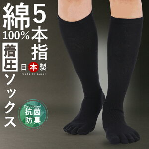 \bNX ܖ{w ܖ{w\bNX 5{w\bNX 5{w Y LC { nC\bNX C 100% j am  \bNX ނ݉ e\bNX ԕpA eXgbLO 