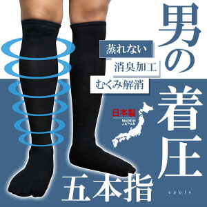 \bNX Y I[vgD ܖ{w\bNX ܖ{w 5{w\bNX 5{w LC 40cm { nC\bNX C 100% j am \bNX  ނ݉ e\bNX ԕpA e