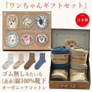 y Mtg Zbg zC fB[X \ 100% y SȂ ݂ȗSnz 4 Zbg {  100 S  [\bNX \bNX ₦΍ ₦  g v