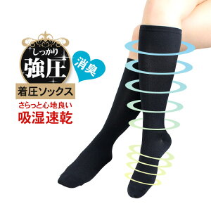 \bNX { fB[X C  nC\bNX L LC ނ݉ ₦ eXgbLO e\bNX ×p r ₹ ӂ͂ ₷ AQ p ԕpA 