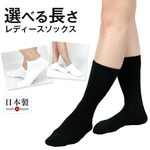 C fB[X y 22cm ` 25cm z nC\bNX Xj[J[\bNX V[g\bNX   zCg ubN n LC {C 킢   hV̓