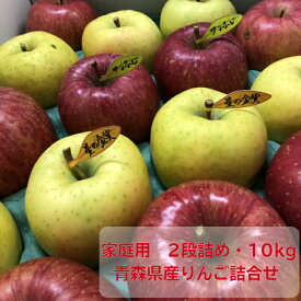 ◎送料無料◎訳あり/家庭用　青森県産りんご　詰合せ　サンふじ　王林　星の金貨　ぐんま名月　2段【内祝・お祝・お歳暮・お年賀・結婚内祝・お見舞・快気祝・入学祝・卒業祝・お礼・お返し・プレゼント】
