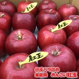 ◎送料無料◎訳あり/家庭用　青森県産りんご　めんこい紅玉　バラ詰め（約2.5kg）【内祝・お年賀・お祝・結婚内祝・お見舞・快気祝・お礼・お返し・プレゼント】