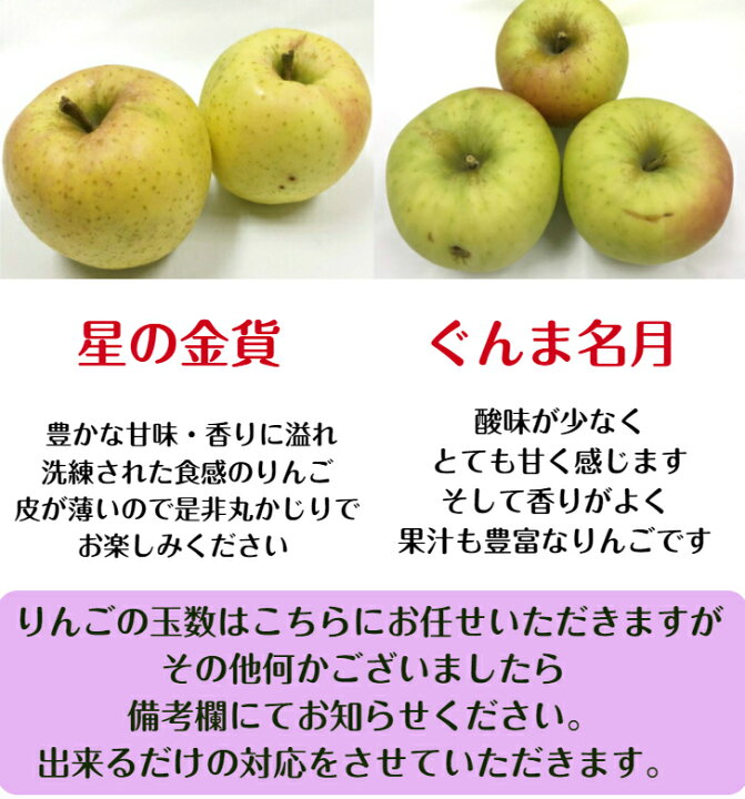 青森県産りんご　お試し用サイズ　トキ　香り豊か甘さが特徴的　約2キロ　5個入り