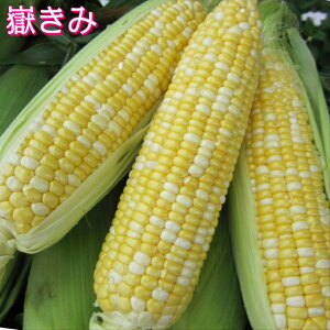 Ԃ݁@݁@L`2L10{@XY@؎R@Ƃ낱