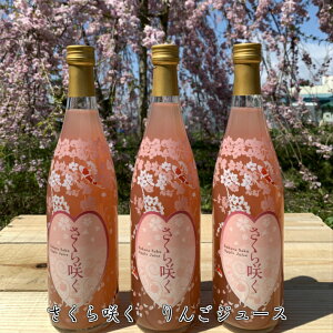 v[g v~A񂲃W[X@@@g̖@v~AMtg 720ml@3{@yjEjEjEECjEEwjEƏjEEԂE