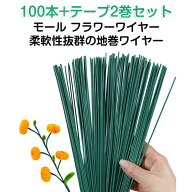 モール フラワーワイヤー 手芸モール グリーン 造花の茎 100個 太さ2mm 30cm フラワーDIY用 地巻ワイヤー…