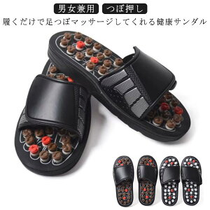 NT_ fB[X Y T_ c{ Xbp jp  [V[Y NXbp  c{ ډ ˋN K }bT[W ~ y x_  