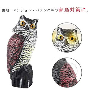 悯  ObY x_  N UtNE JX悯 悯 悯 ΍ tNE ΍ 悯 JX΍  { hb΍  h 悯ObY u I[i