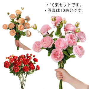  o S61cm ꑩ3 Zbg10 ԑ lHϗtA A[eBtBVt[ ԍ CeA t[AWg fBXvC 