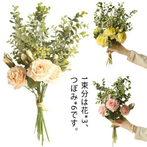  ԑ  u[P ꑩZbg 46cm t[A EFfBO EGfBO  G y[X   OB ACe   tFCN fBXvC 