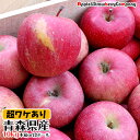 青森りんご超訳あり 10kg【りんご 10kg 訳あり】【りんご 訳アリ 通販】【ワケアリ 業務用 ジュース用】【リンゴ ワケアリ】 段ボール箱出荷の方におまけ...