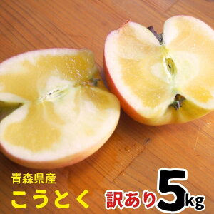 yʌzXY Ƃ 5kg 16ʁ`33 󂠂 PA A ƒ p   Yn  lC 5L yƖ^Az