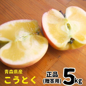 yʌzXY Ƃ i 5kg 16ʁ`33 p Ε Ε Mtg   n 󏭕i Yn  lC