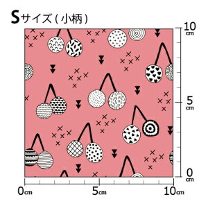 COfUCi[IWi n [10cmP] k z V[`O eLX^C k  唻 ʕ `F[  sN
