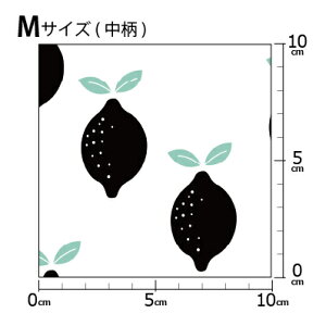 mv1mȏő] COfUCi[IWi n [10cmP] k z V[`O eLX^C k  唻 ʕ  CG[ sN mg[