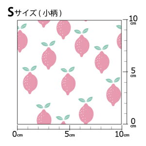 mv1mȏő] COfUCi[IWi n [10cmP] k z V[`O eLX^C k  唻 ʕ  CG[ sN mg[