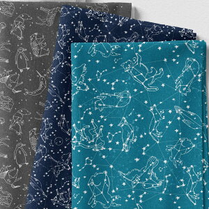 mv1mȏőnyConstellationsz n k z V[`O k   X^[  唻