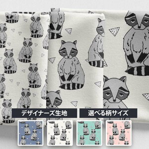 mv1mȏőnyRaccoonsittingzk z V[`O k ACO}