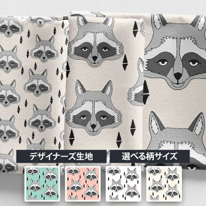 mv1mȏőnyHappyRaccoonzk z V[`O k ACO}