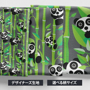 mv1mȏőnn k z V[`O k  yPanda Forestz p_ 唻