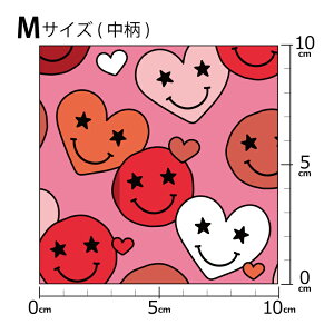 mv1mȏőnCOfUCi[IWi n [10cmP] k z V[`O eLX^C k  唻 n[g o^C X}C[ X}C sN bh CG[ 