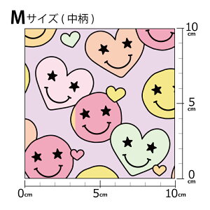 mv1mȏőnCOfUCi[IWi n [10cmP] k z V[`O eLX^C k  唻 n[g o^C X}C[ X}C sN bh CG[ 