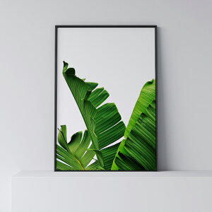 |X^[ k  CeA A[g A[gpl y Banana Leaf z [t t A oii  O[ t _ Vv t[t A0 A1 B1 A2 B2 A3 B3